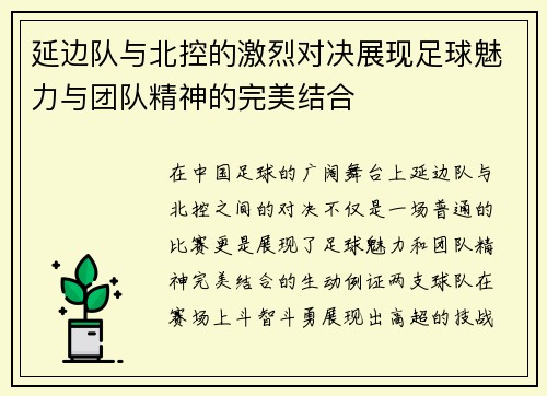 延边队与北控的激烈对决展现足球魅力与团队精神的完美结合